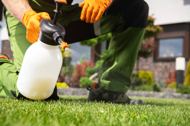 Best Mosquito Control Services  in Munfordville, KY