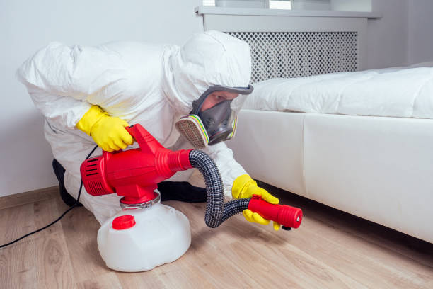 Best Affordable Pest Control Services  in Munfordville, KY
