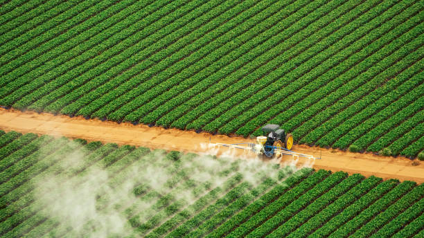  Munfordville, KY Pest Control Pros