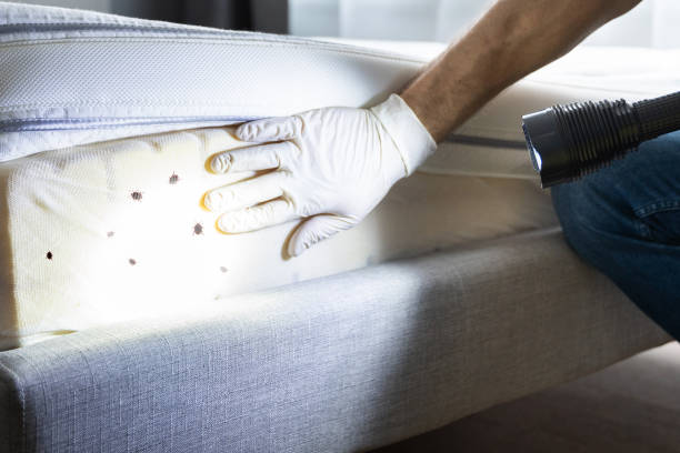 Best Cockroach Control Services  in Munfordville, KY