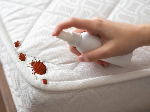 Best Bed Bug Extermination  in Munfordville, KY