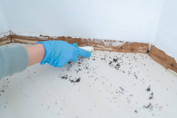 Best Exterminator Services  in Munfordville, KY