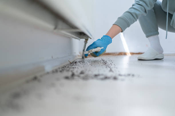 Trusted Munfordville, KY Pest Control Experts
